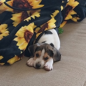 Fundraising Page: Kymberly Atkinson